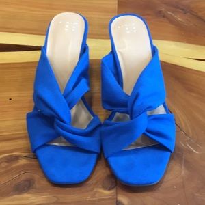 Blue Heeled Slides